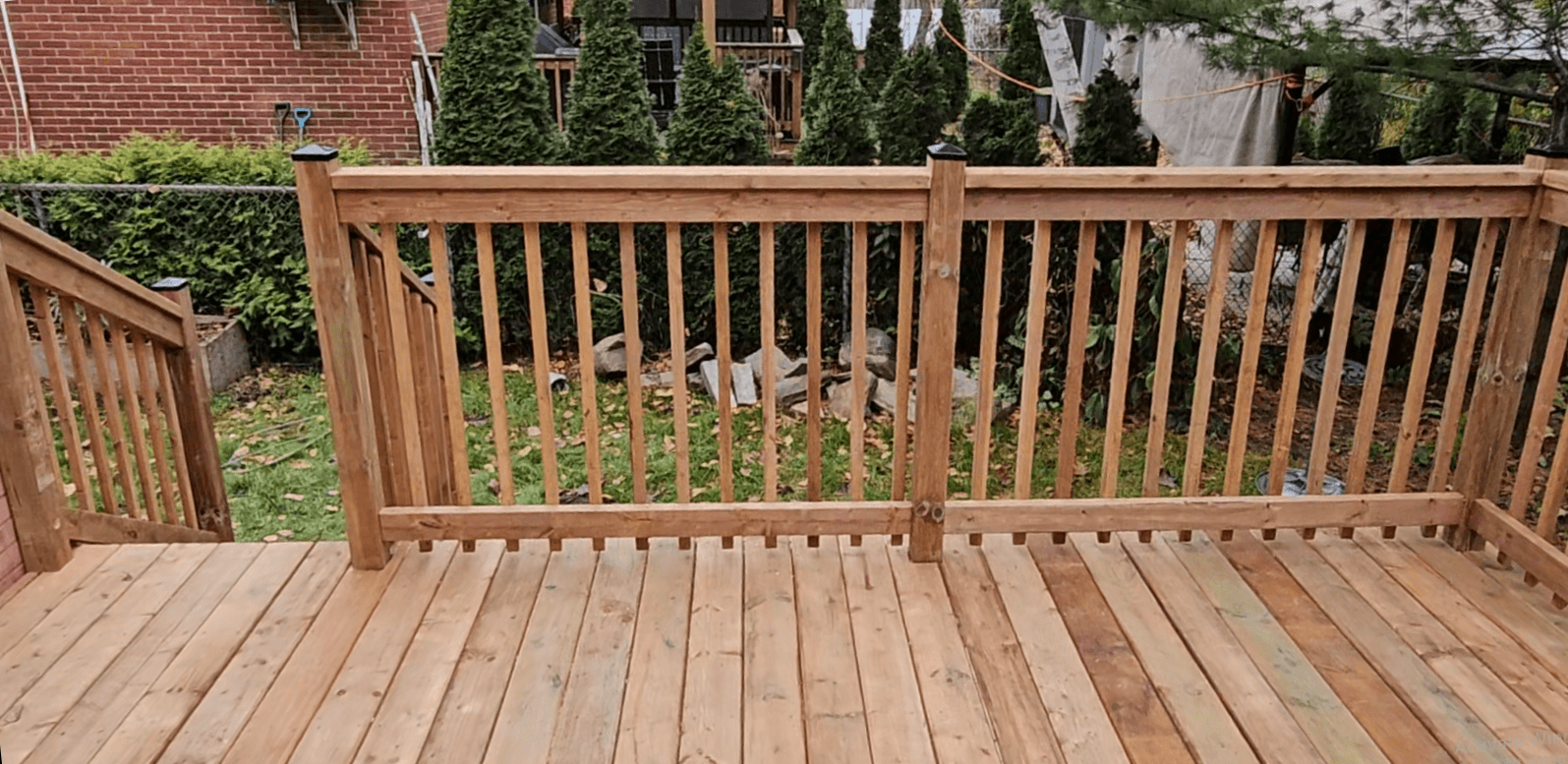 The Backyard Staple — photo 5